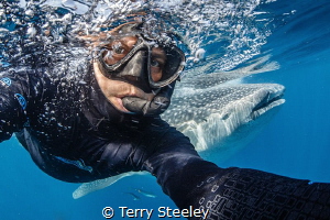 Extreme photo bomb
—
Subal underwater housing, Canon 1D... by Terry Steeley 
